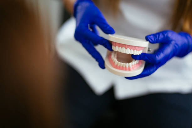 Best Root Canal Treatment  in Ogden, NC